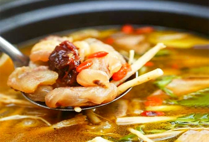 Animal Genitalia Dishes