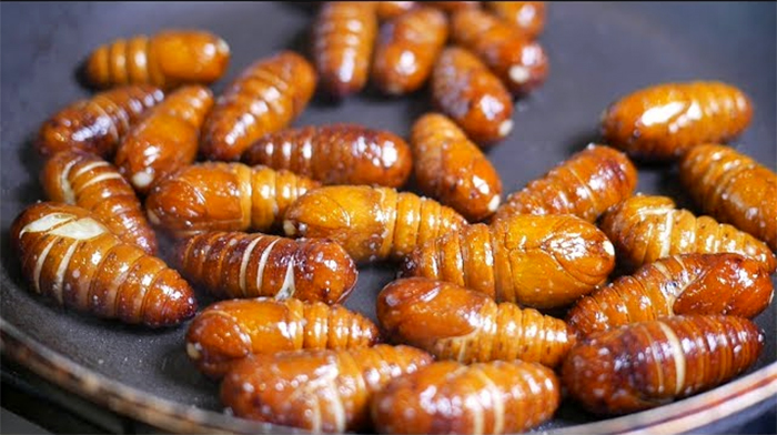 Steamed Silkworm Pupae