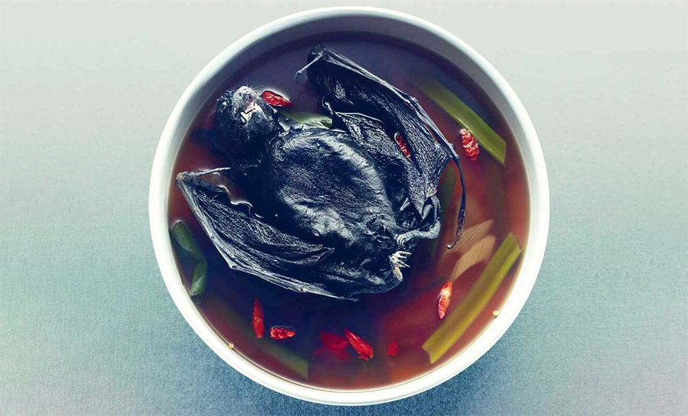 Bat Soup