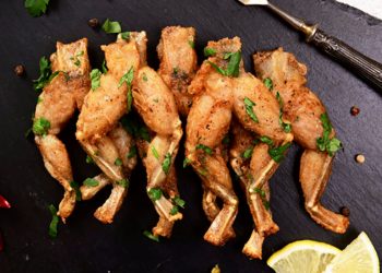 Frog Legs