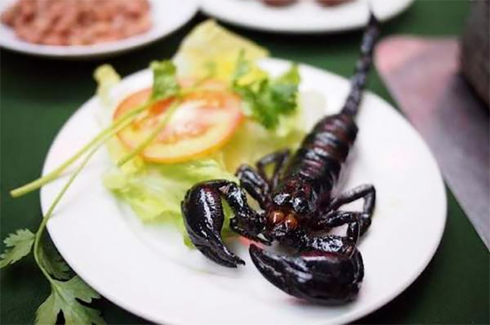 Fried Scorpions