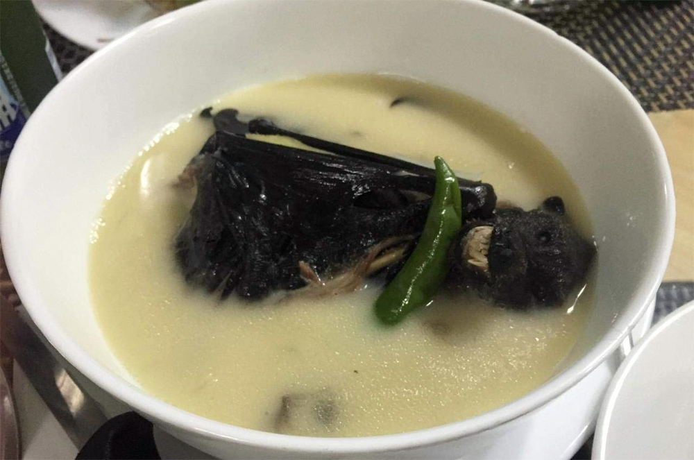 Bat Soup