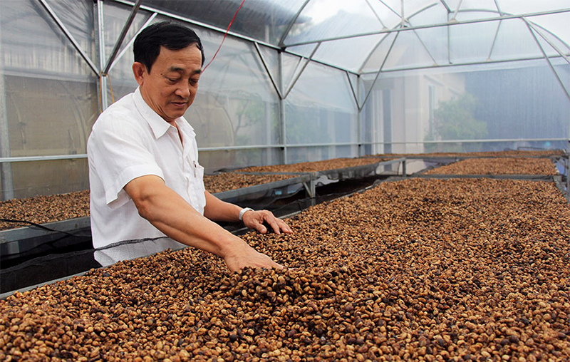 Processing Methods VietNam